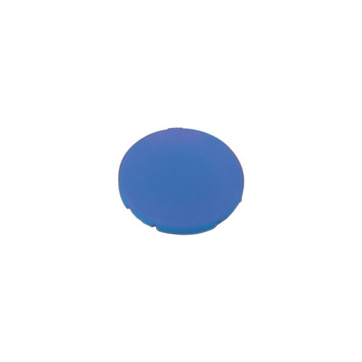 [EAT216426] Étiquette, plate bleue, sans inscription