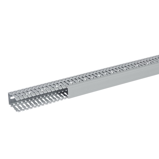 [PLW21160] SEGMA 40X60 6/6,5 GRIS