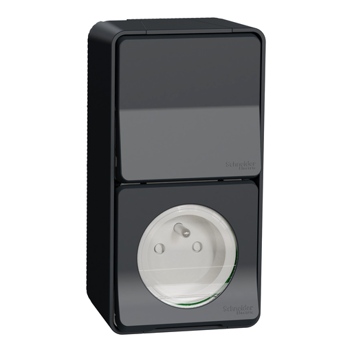[SCHMUR36025] Mureva Styl - Prise courant 2P+T+va et vient verti. - saillie - IP55 IK08 - gris