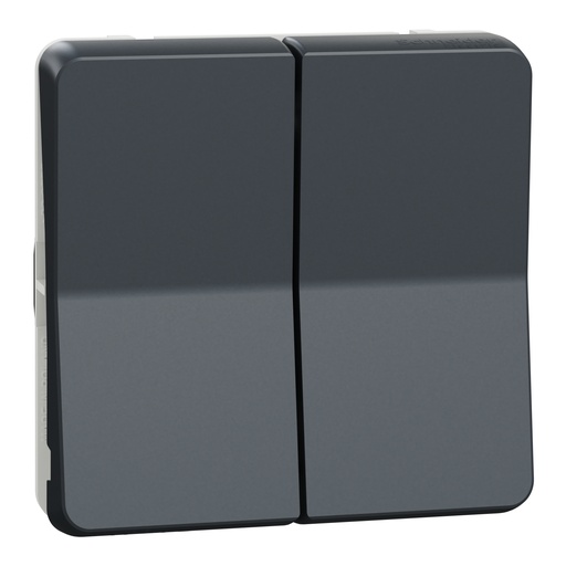 [SCHMUR35019] Mureva Styl - Double va et vient - composable - IP55 -IK08-connexion auto - gris