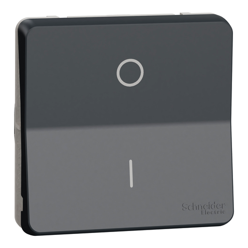 [SCHMUR35034] Mureva Styl - Interrupt bipolaire - composable - IP55 IK08 - connex auto - gris