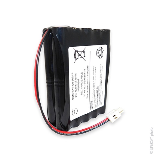 [ENIMGN0947] Pack(s) Batterie portes automatiques 20x AA 20S1P ST5 24V 700mAh Wago 2.5