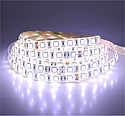 [MII75163] BANDEAU BLC 6000K 5M 60 LED ET 14.4W/M IP65 24V PU