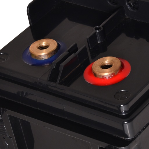 [ENIAMC9018] Batterie(s) Batterie lead crystal 6-CNFT-170 12V 170Ah M8-F