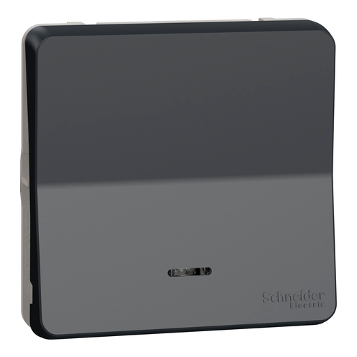 [SCHMUR35025] Mureva Styl - Va et vient lumineux LED - composable -IP55-IK08 -connex auto-gris