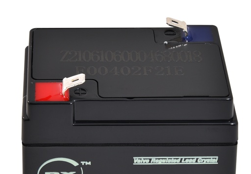 [ENIAMC9014] Batterie(s) Batterie lead crystal 3-CNFJ-4 6V 4Ah F4.8