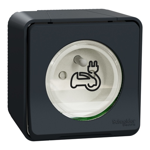 [SCHMUR36010] Mureva Styl - Prise courant 2P+T renforcée pour VE - IP55 IK08 - saillie - gris