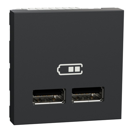 [SCHNU341854] Unica - chargeur USB double - 5Vcc - 1A + 2,1A - 2 modules - Anthra - méca seul